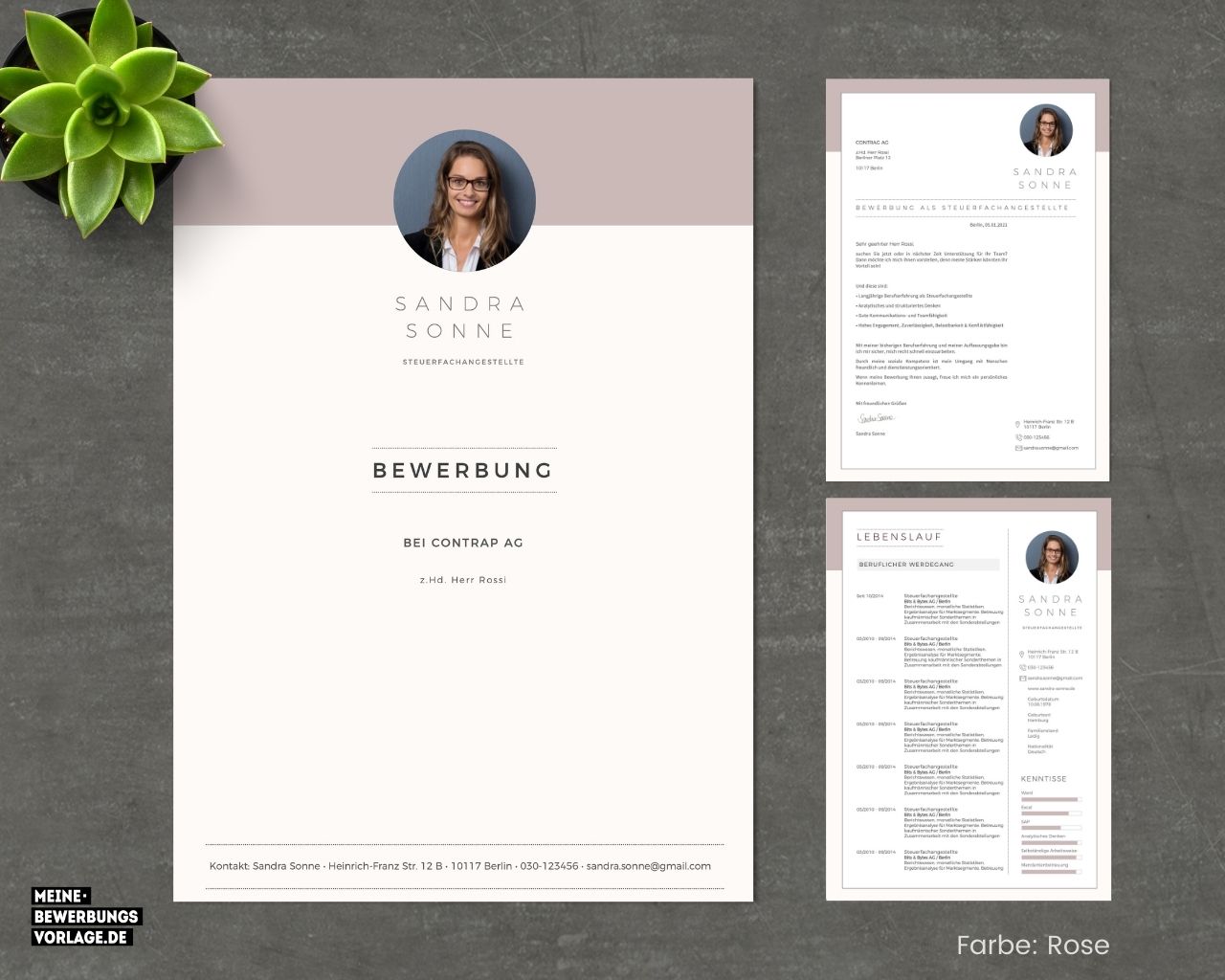 Bewerbungseditor