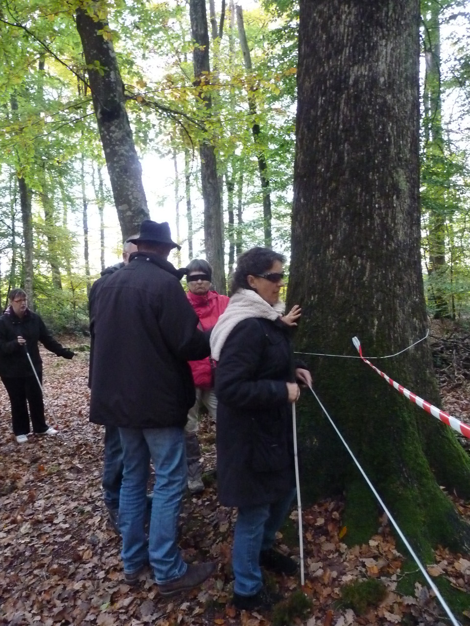 Partage d'expérience en forêt