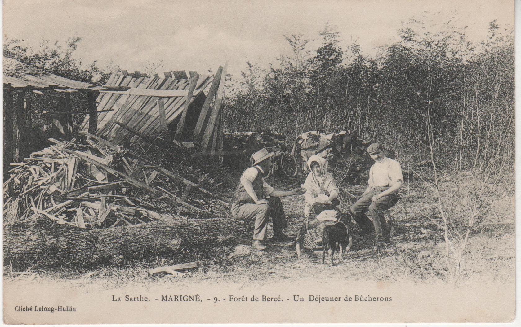 Travaux à Carnuta Nouvelle scénographie pour la réouverture Maison de l'Homme et de la forêt Travaux à Carnuta Nouvelle scénographie pour la réouverture Maison de l'Homme et de la forêt