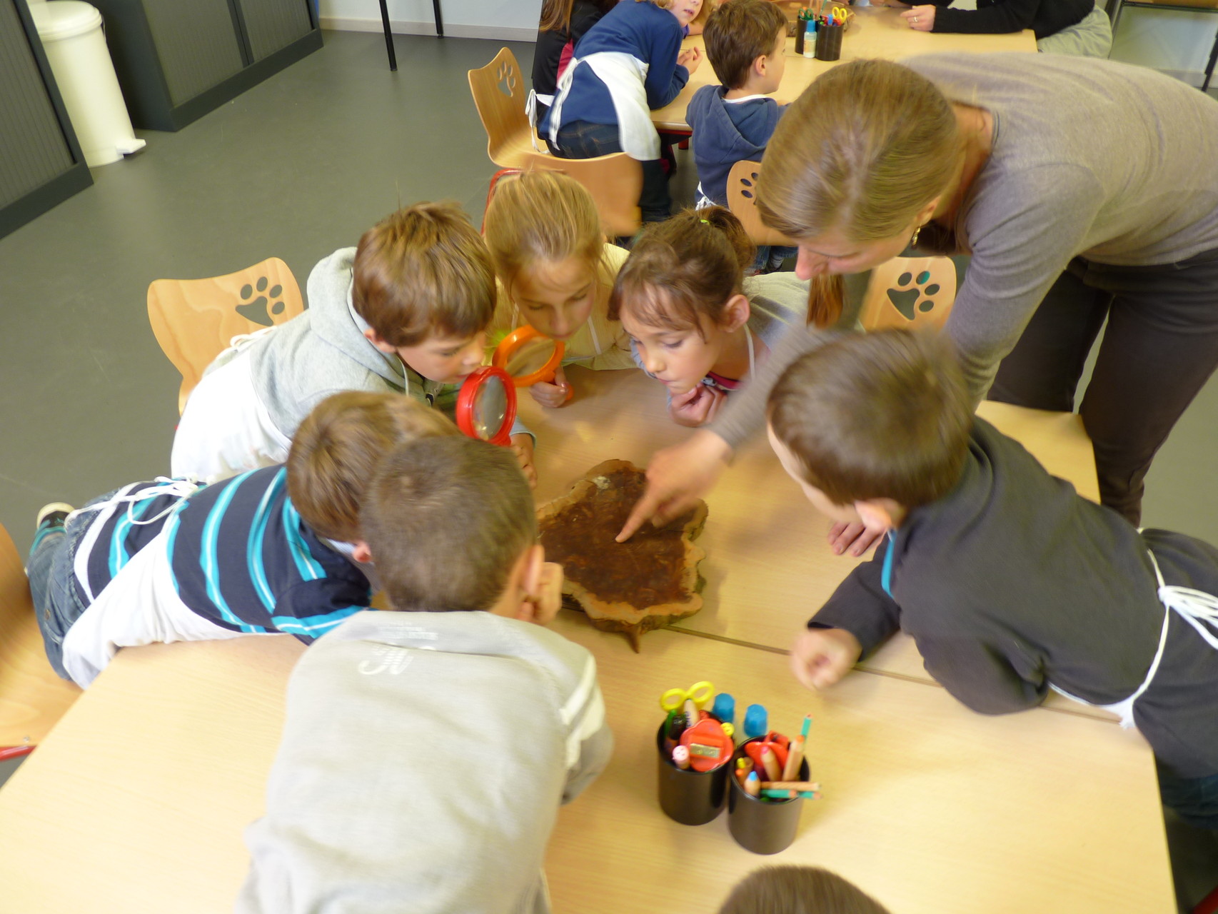Animation sur les arbres