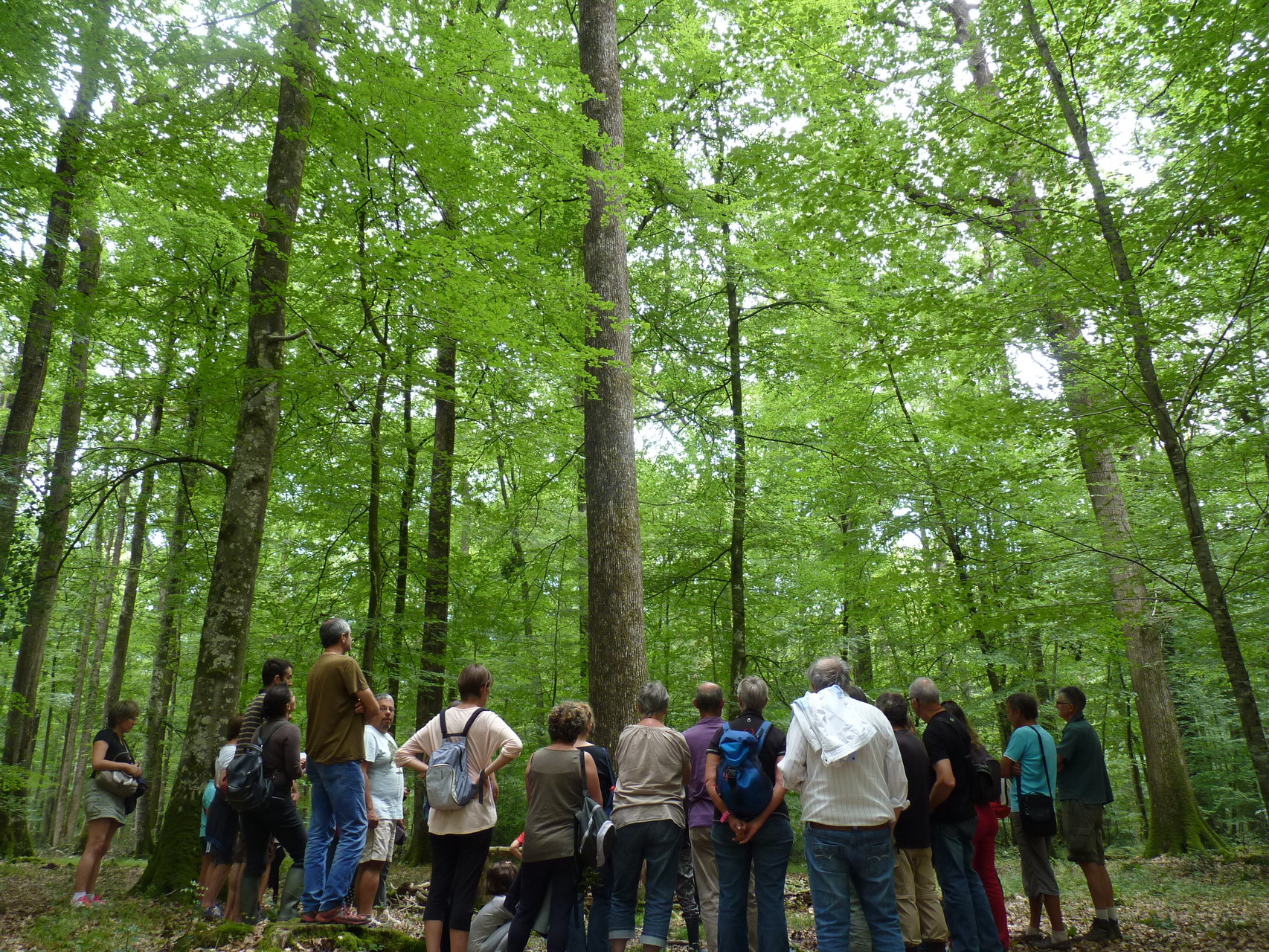 Sortie en forêt avec un agent de l'ONF