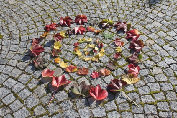 Den Herbst mit allen Sinnen erleben - Volksschule Grünbach bei Freistadt