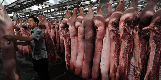 Des porcs dans un abattoir de la province Anhui, dans l'est de la Chine, en septembre 2011. | AFP/STR