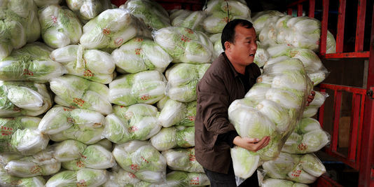 Des maraîchers chinois ont enduit des choux de formol pour éviter que les légumes ne s'abîment durant les longs trajets dans des camions non réfrigérés. | AFP/STR