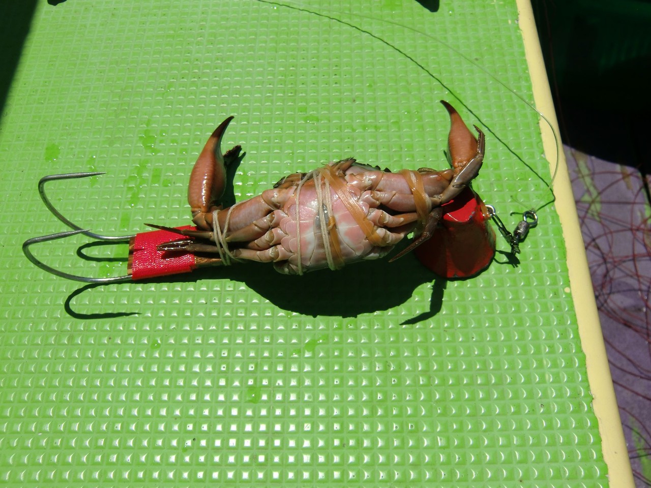 真ダコ釣り 随筆 少笑発進 吾 徒然なる儘に 釣行記 真ダコ釣り 随筆 少笑発進 吾 徒然なる儘に 釣行記
