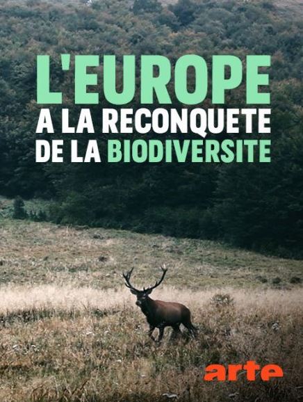 ARTE rediffuse un reportage passionnant sur le rewilding à l'européenne. A ne pas manquer !
