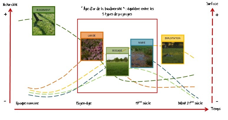 Schéma illustrant la variation des degrés de naturalité et d'articialisation des milieux de l'EPL à travers le temps