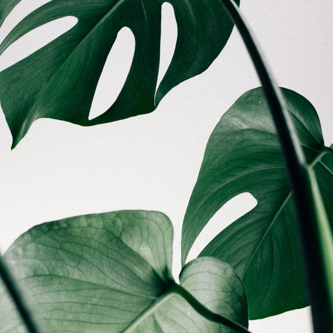 Glow Massage & Wellness Centre in Vaughan