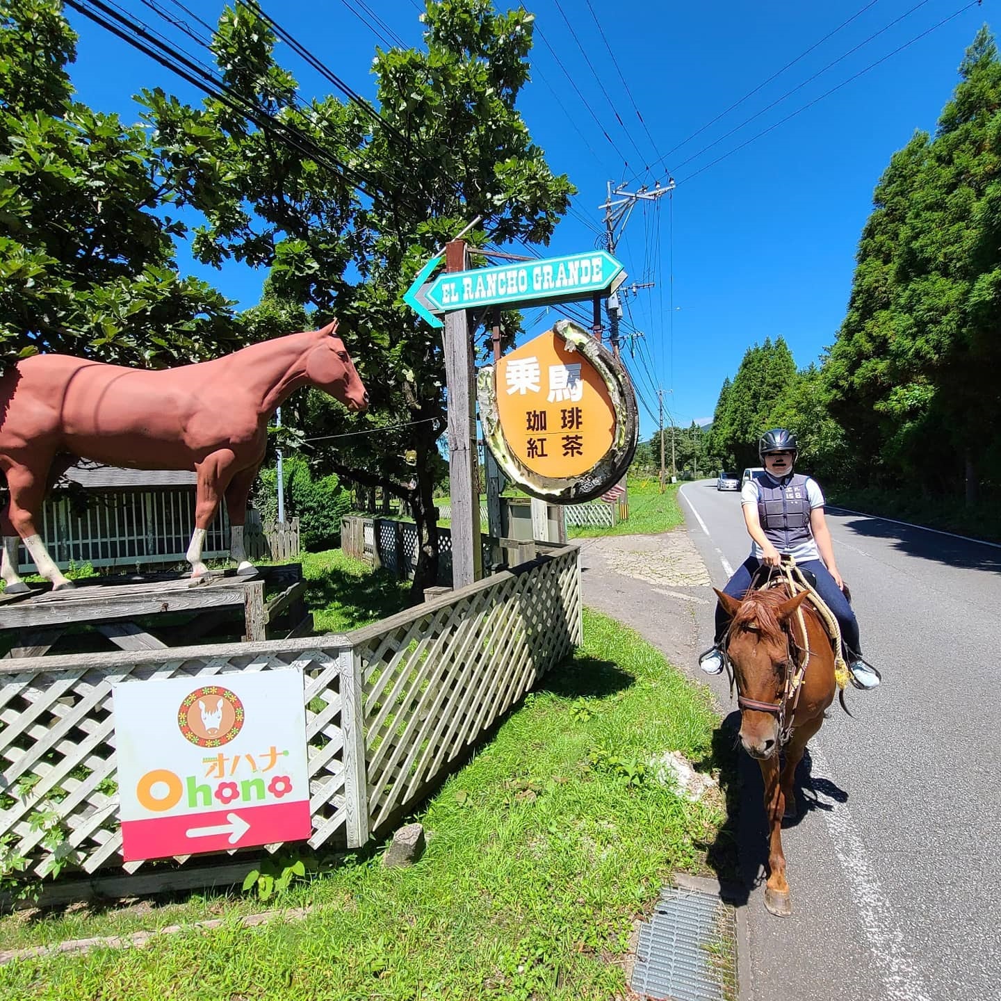 公道でも安全安心な馬で近所を散歩