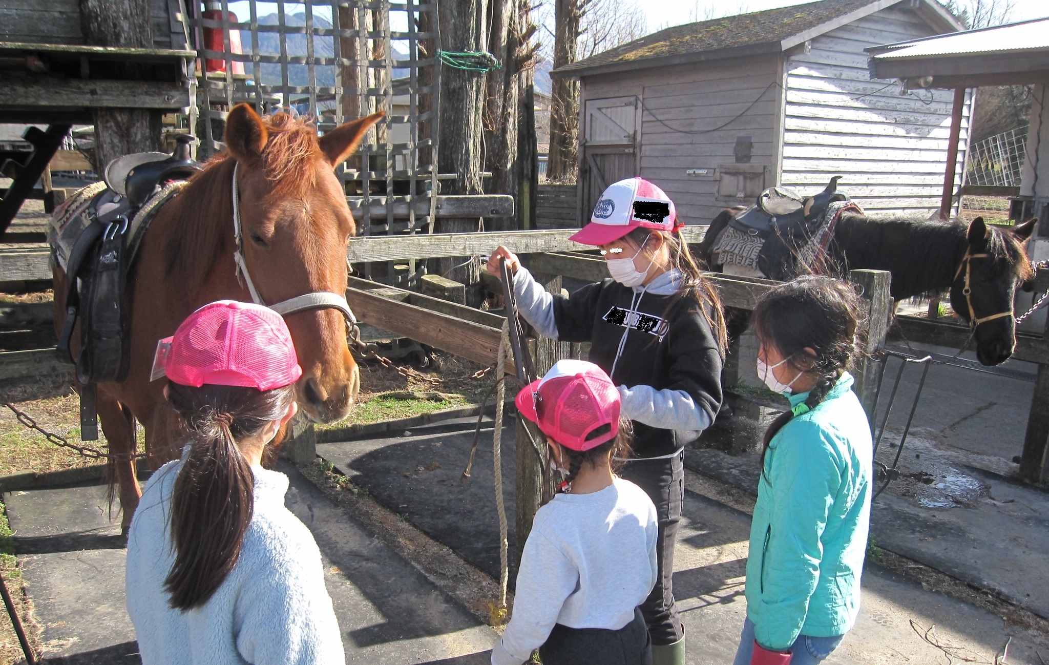 子供乗馬学校、ホースセラピーにも安心して楽しめます！