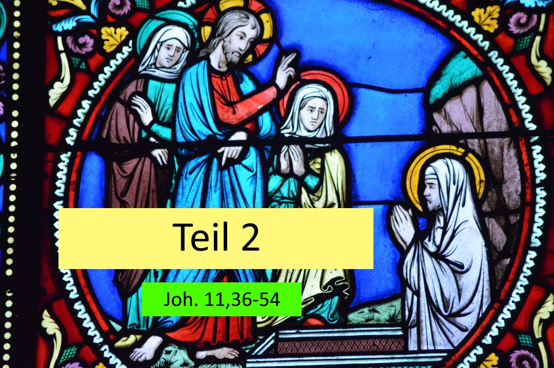 {29} Jesus erweckt Lazarus zum Leben (Teil 2: Auslegung von Joh. 11,36-54)