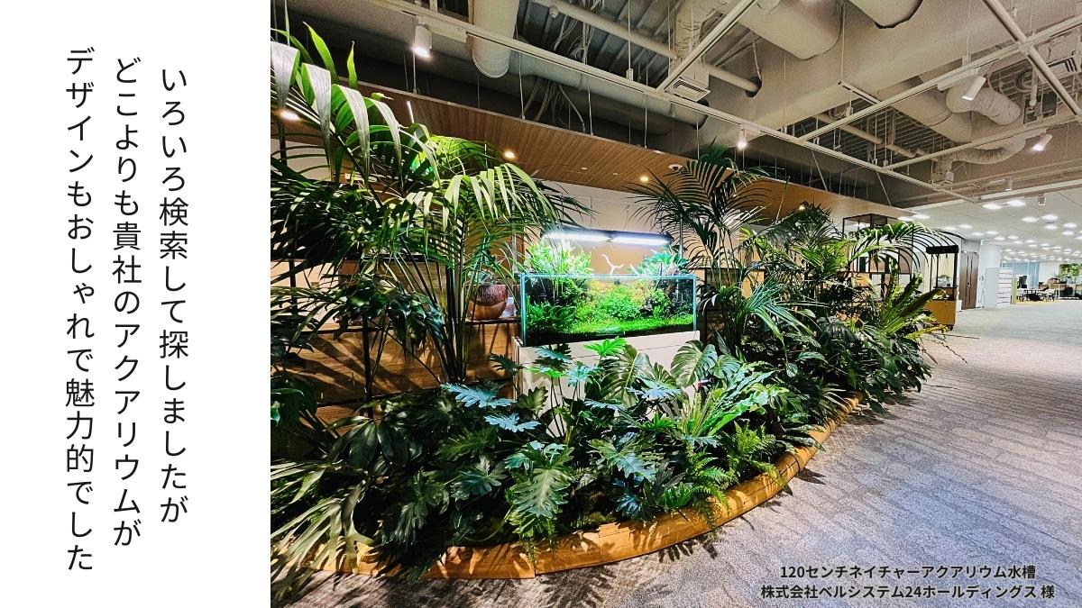企業 オフィスへアクアリウム水槽レンタル リース 販売 アクアレンタリウム