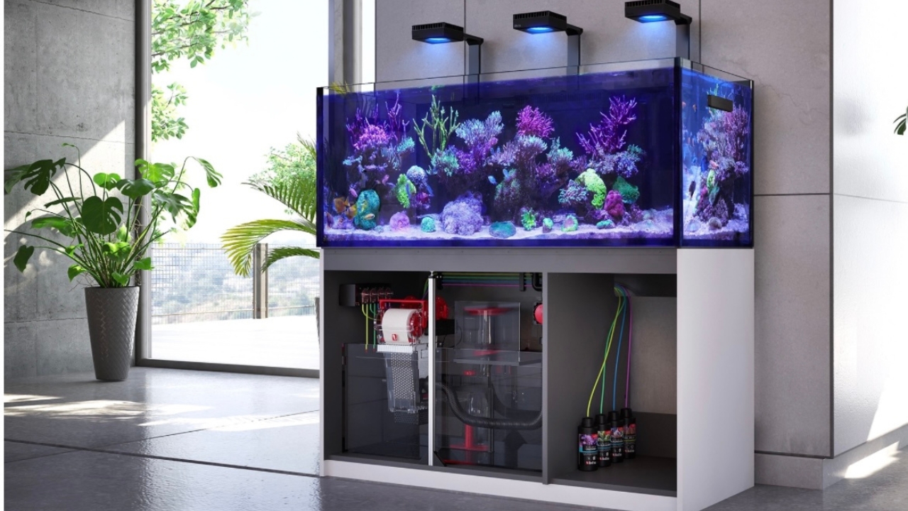 Red Sea REEFER 250 水槽セット(引き取り限定) Red Sea REEFER 250 水槽セット(引き取り限定)