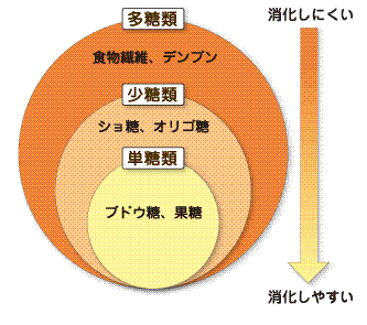 Banana daigaku