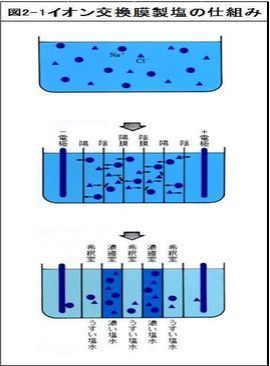 *図をクリックすると拡大します