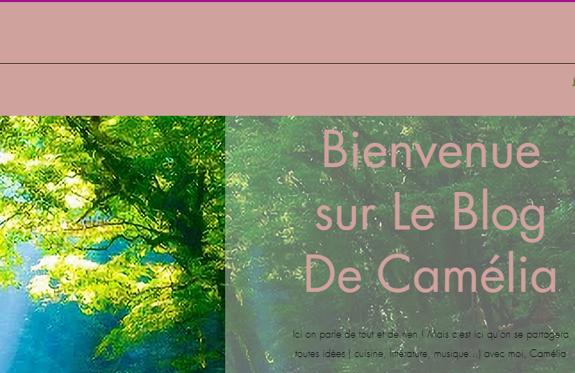 Blog de Camélia