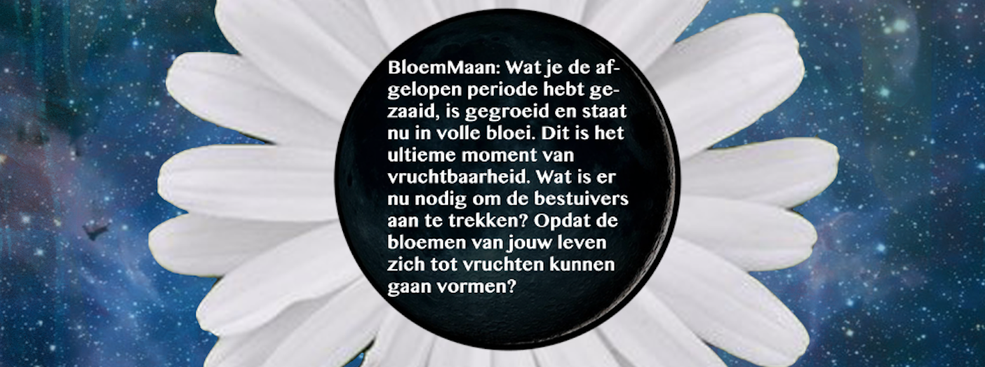 BloemMaan & de Dans van de Vlindervrouw