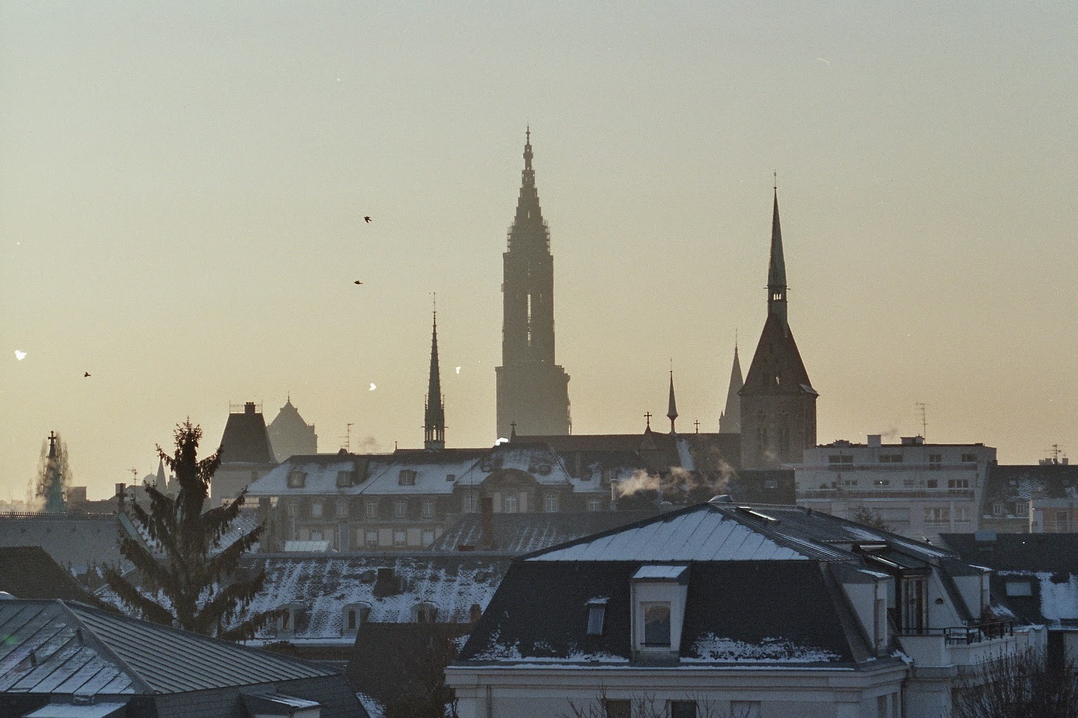 La cathédrale de Strasbourg - Gite du Leimen en Alsace