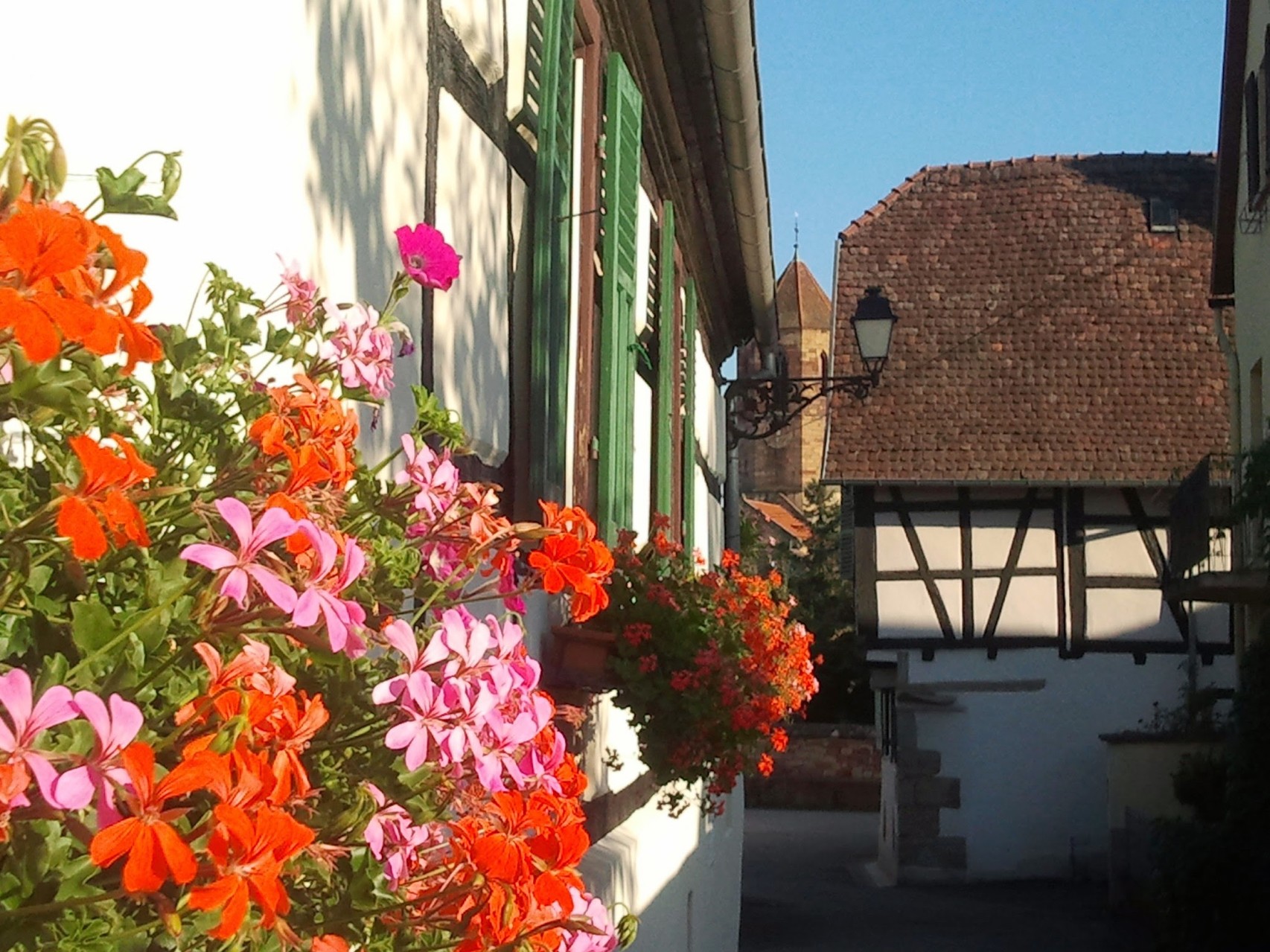 Maisons à colombages et ruelles ombragées de Rosheim - Gite du Leimen en Alsace