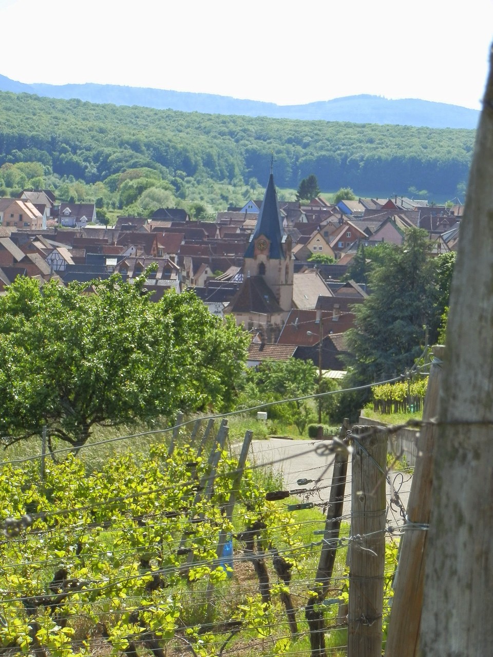 le petit village vignerons de Rosenwiller sur les hauteurs de Rosheim - Gite du Leimen en Alsace