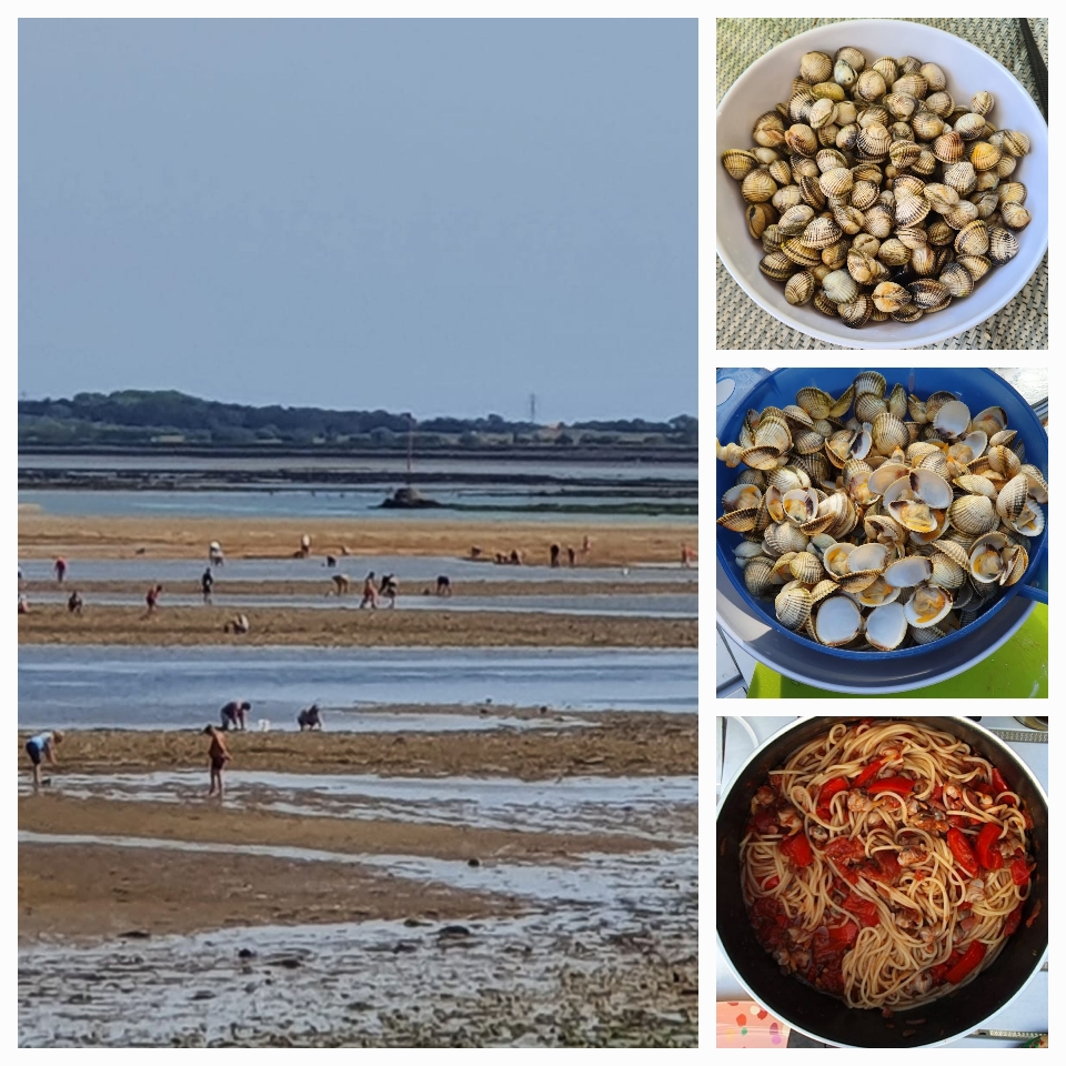 Gesucht, gewaschen, gekocht und gegessen 
