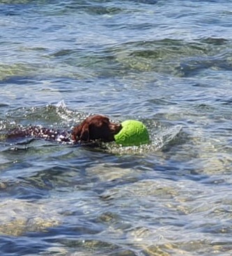 Sie schwimmt