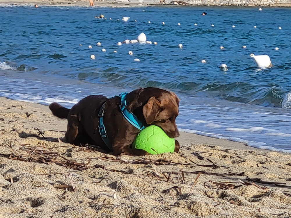 Ballspielen am Strand ist immer wieder toll