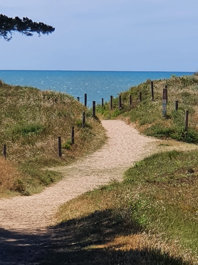 Der Weg zum Strand 