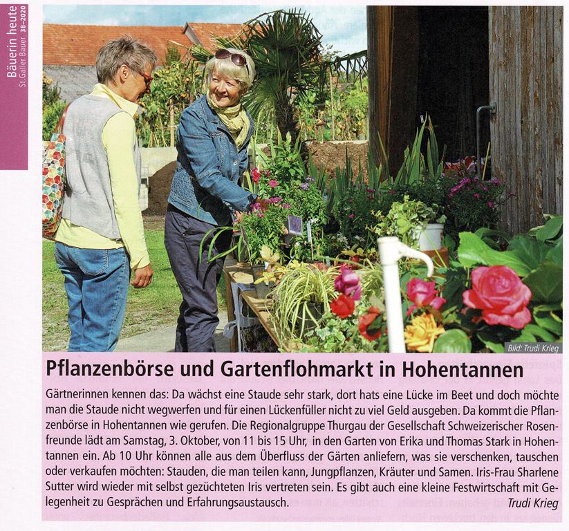  Pflanzenbörse Gesellschaft Schweizerischer Rosenfreunde, Thurgau Gruppe