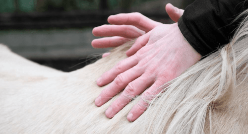 Faszien mit den Händen ausstreichen