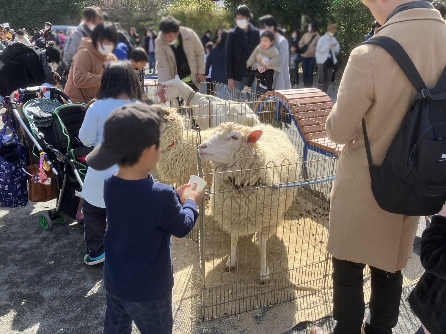 エサの販売も大人気。