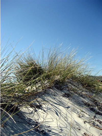 Sardinien am Strand