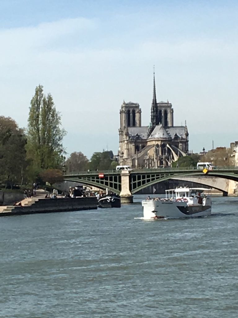 Die Seine mit Notre Dame.