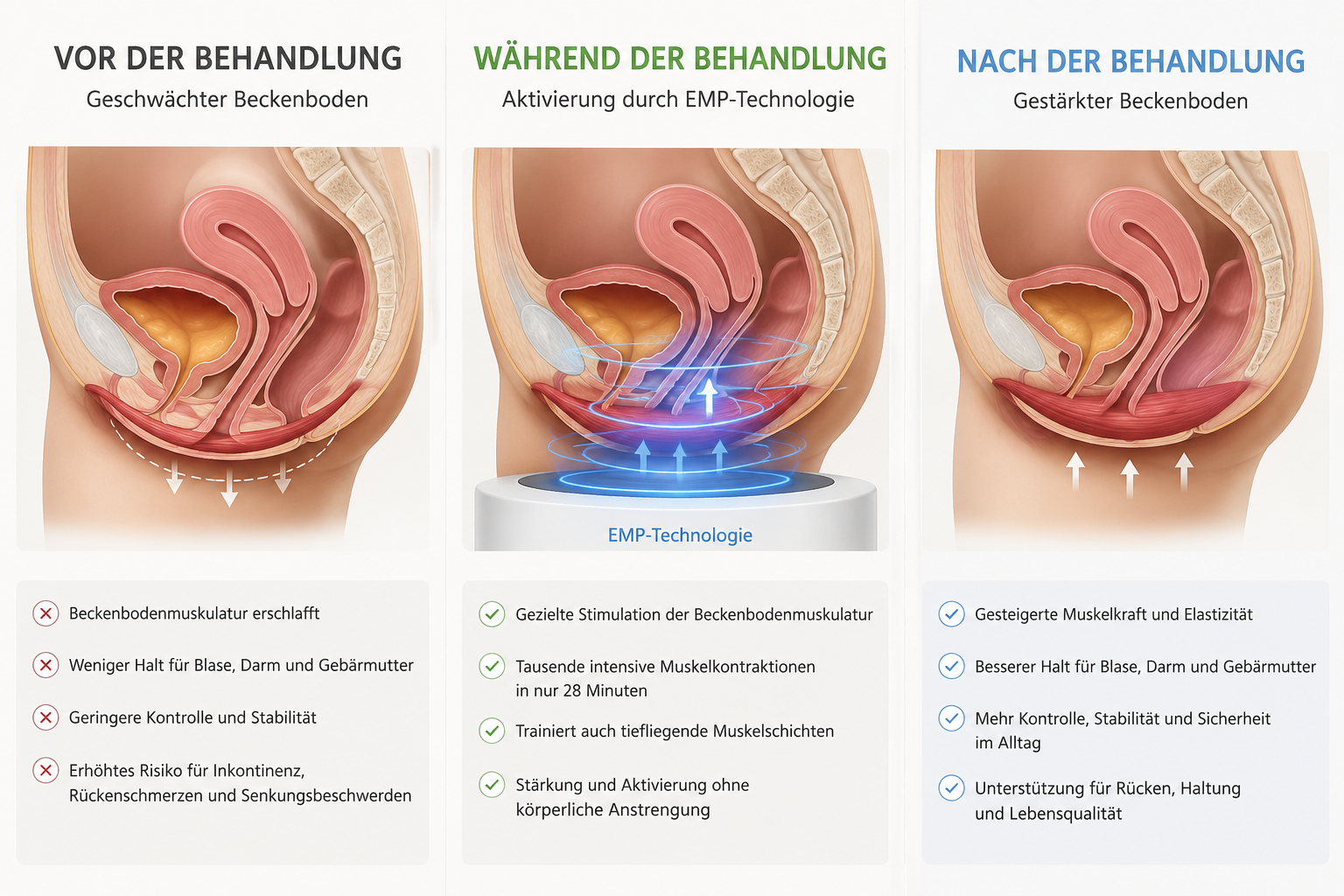 fussundfittraun - beckenbodensessel