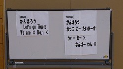 サイドライン