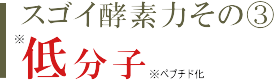 低分子の酵素