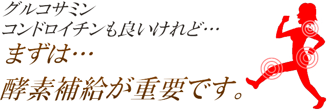 グルコサミンコンドロイチンに変わる次世代の成分配合