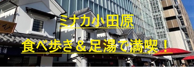 ミナカ小田原 50代一人旅 ブログ