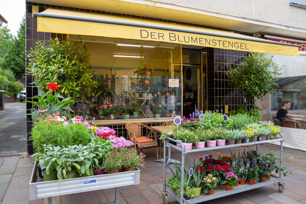 Blumen Bad Vilbel