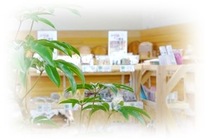 物産・野菜コーナー