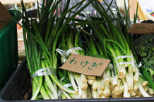 わけぎ