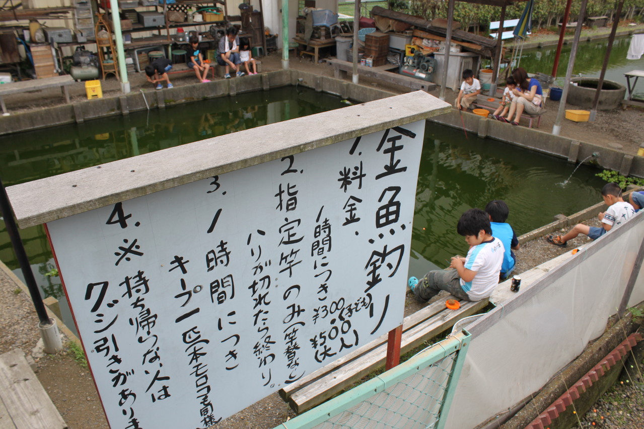 金魚釣り まるなが釣堀 愛知県犬山市の釣堀