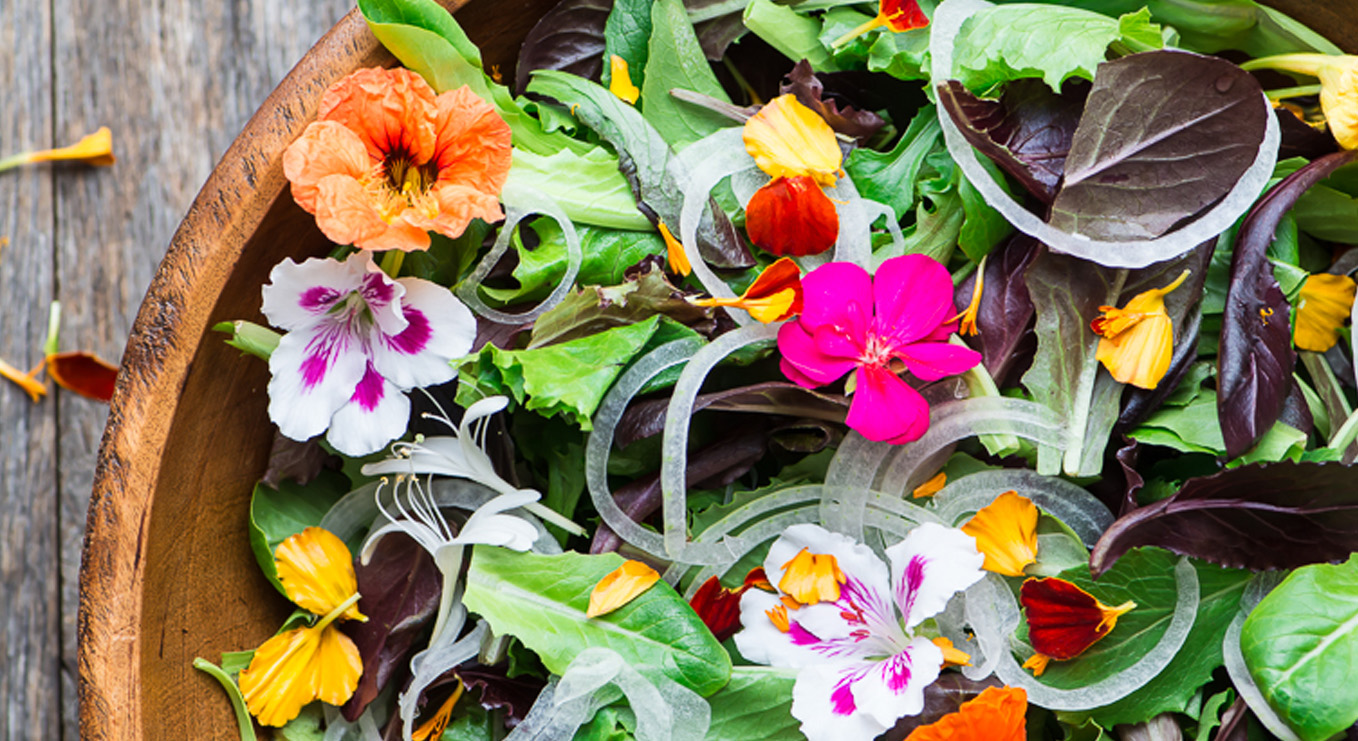 Пищевые цветы. Пищевые цветы для украшения. Микрозелень цветы виола. Съедобные цветы для декора. Пищевые цветы.