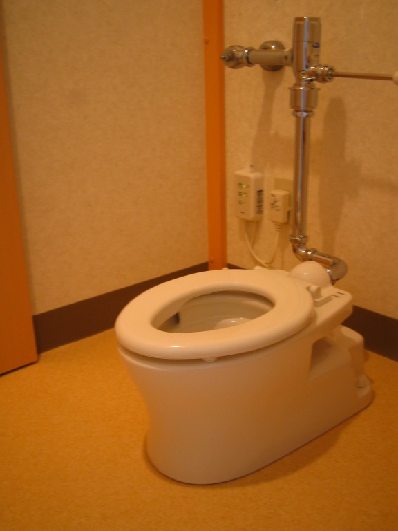 こども用の洋式トイレ　ひとりでできるかな？