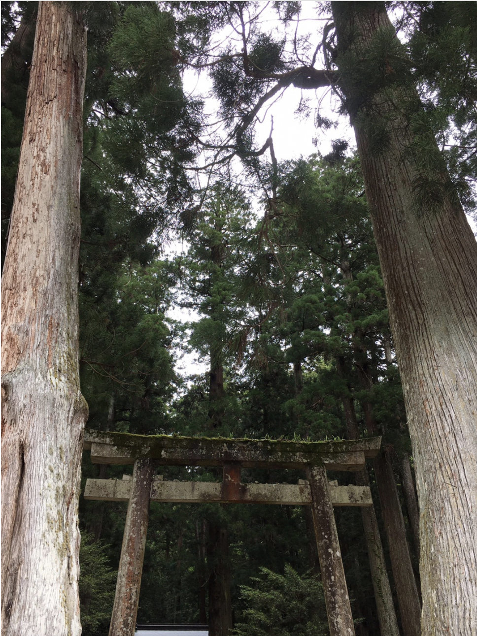 室生龍穴神社へお礼詣り