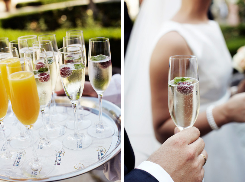 freie Trauung Sektempfang Trauzeremonie Empfang Gratulation Sekt Anstoßen Gläser Anstoßen freie Trauung Hochzeit Redner gratulieren Sekt Gratulation Empfang