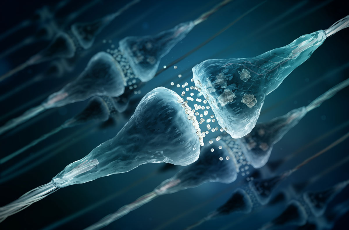 Masterclass - Neuro Yoga - Embodied Science