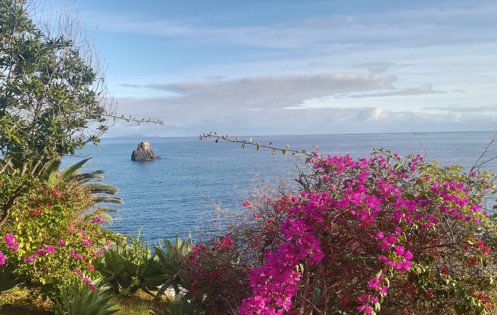 Madeira Urlaub - Norden oder Süden?
