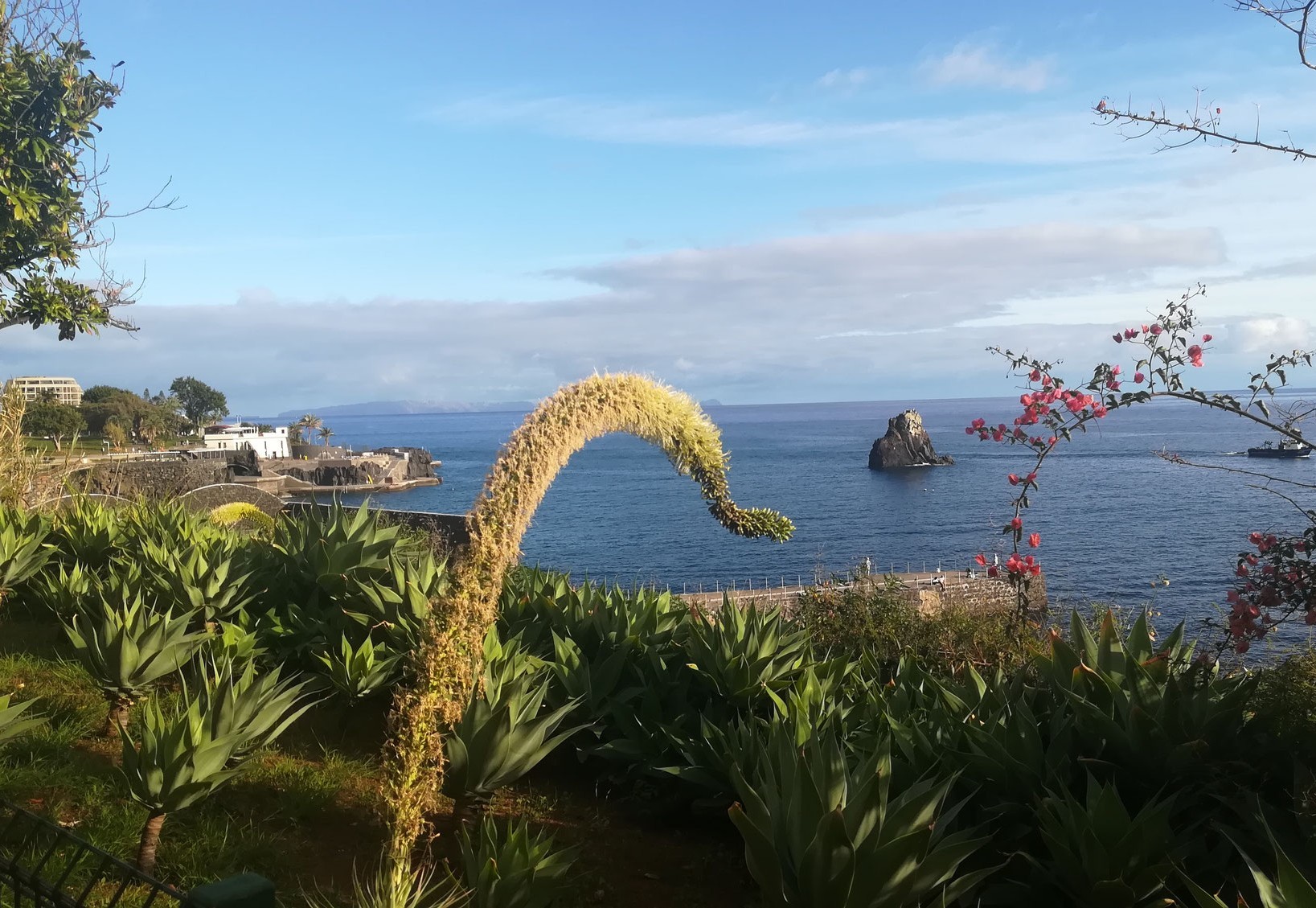 Malerisches Madeira: Roadtrip oder Standortrundreise?