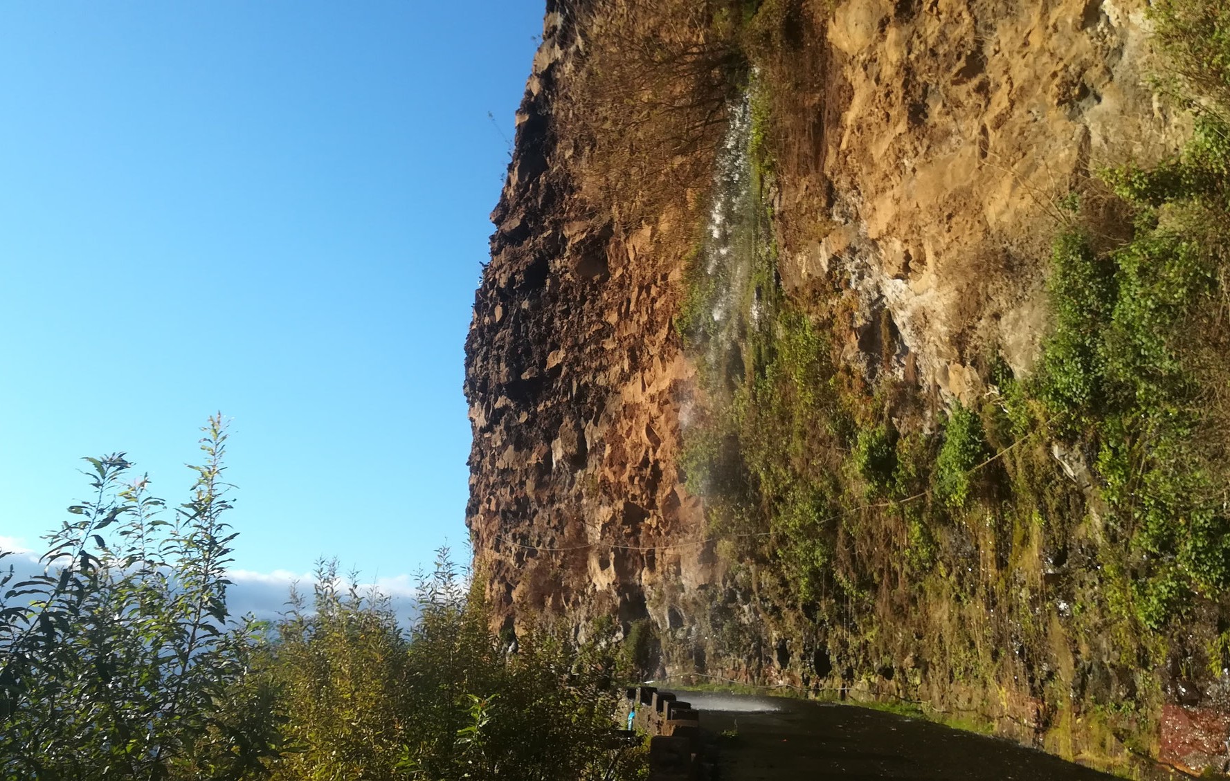 Madeira-Highlights: Die schönsten Orte im Süden